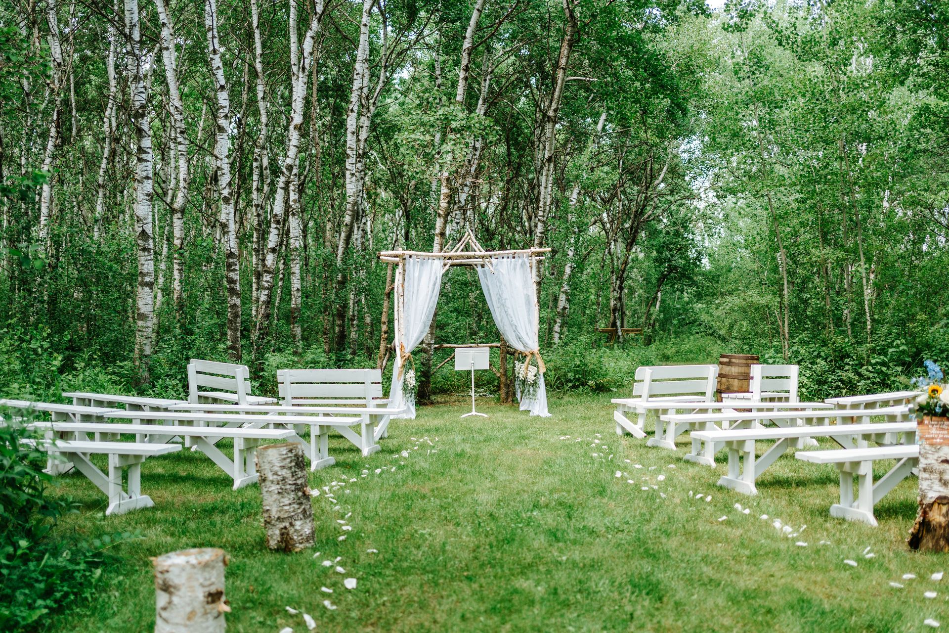The empty birch forest ceremony at Deer Meadow Farm — white benches lined along a grass aisle leading to the handmade log arbor in Manitoba