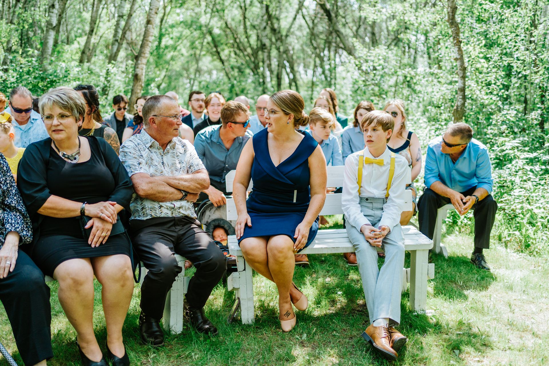Wedding guests seated on white benches in the birch forest ceremony space at Deer Meadow Farm Manitoba