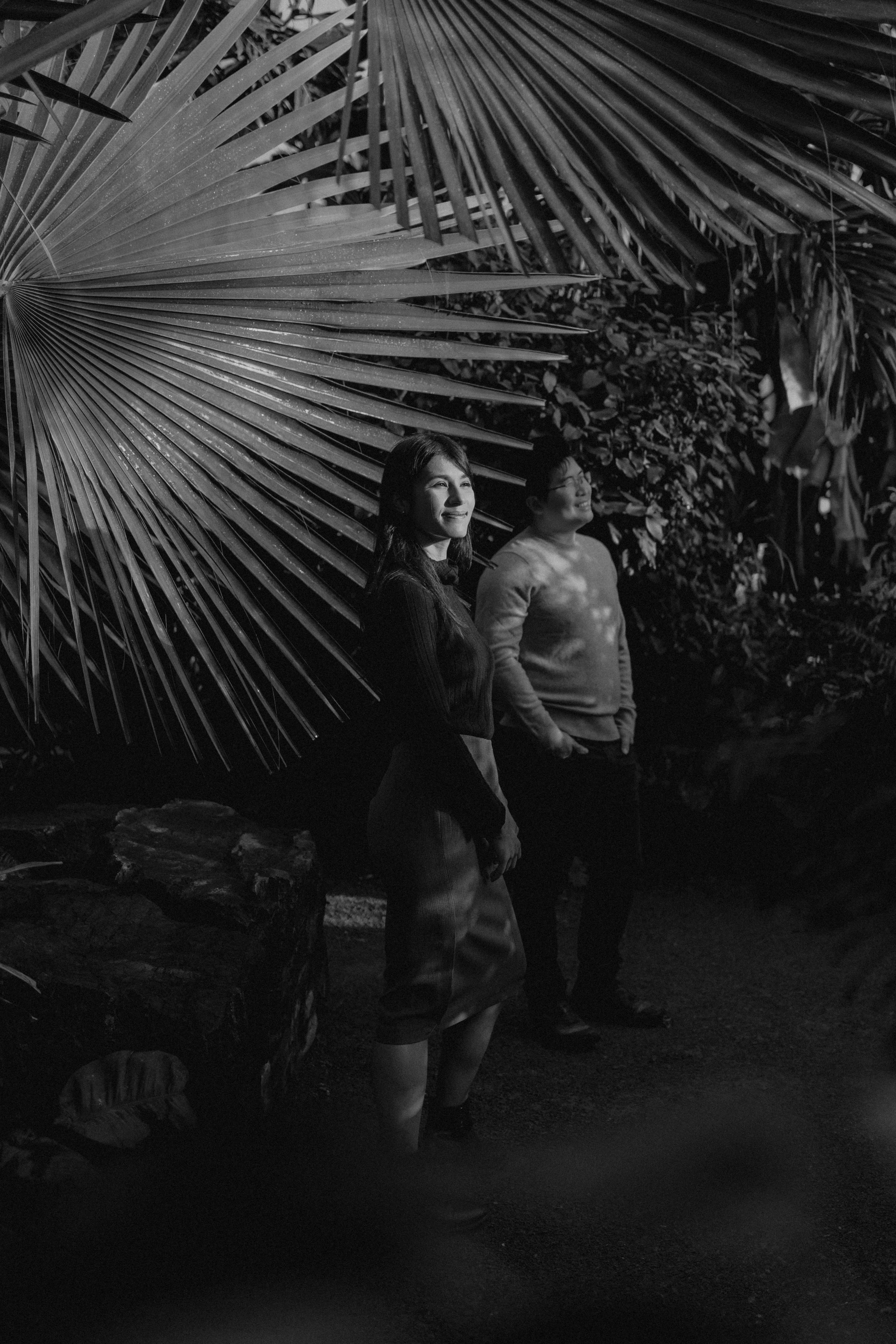 Anthony and Samantha in a quiet moment among the tropical palms and foliage inside the Assiniboine Park Conservatory — black and white engagement photography by Ngo Photography Winnipeg