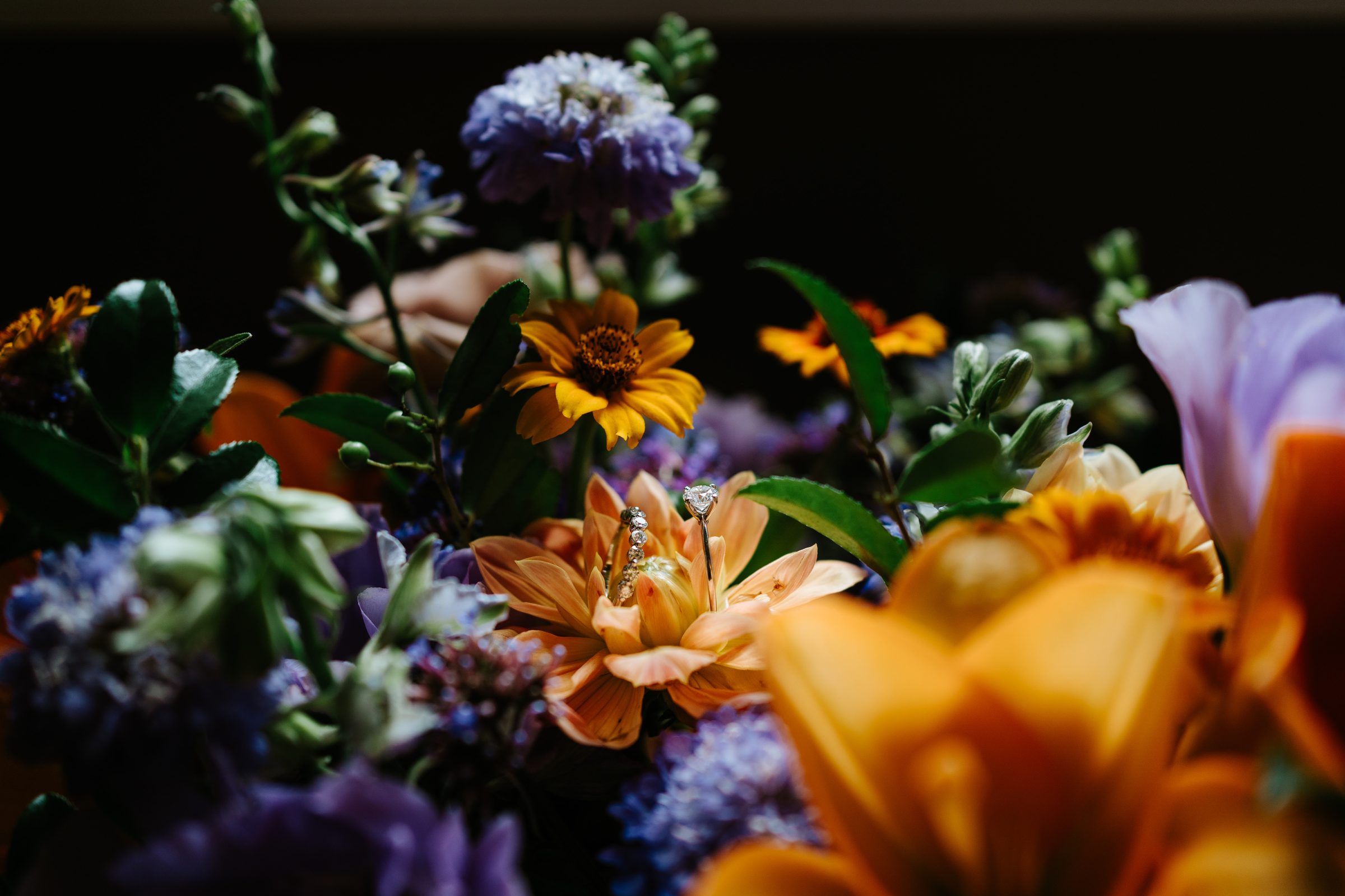 Paul and Ayanna wedding ring detail in florals — fine art wedding photographer Winnipeg