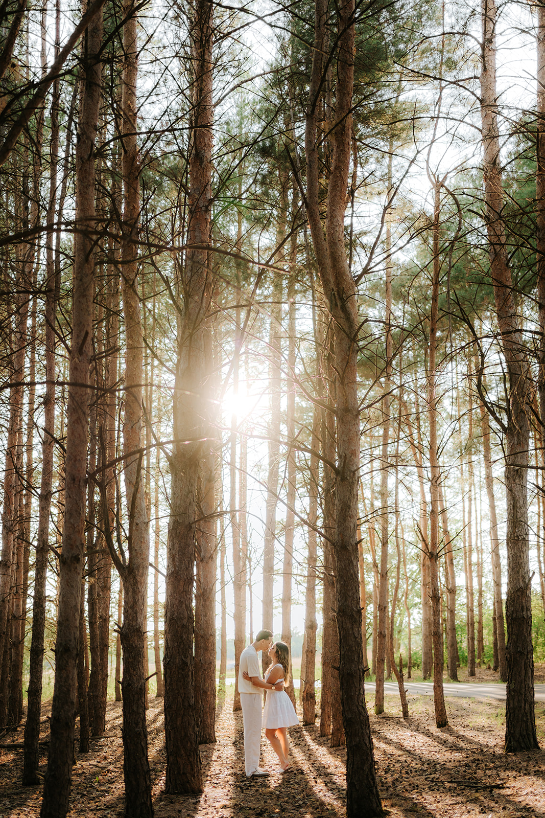 Tai and Alyssa kissing among the tall jack pines of Birds Hill Provincial Park at sunset, golden light streaming through the trees — engagement photography by Ngo Photography Winnipeg
